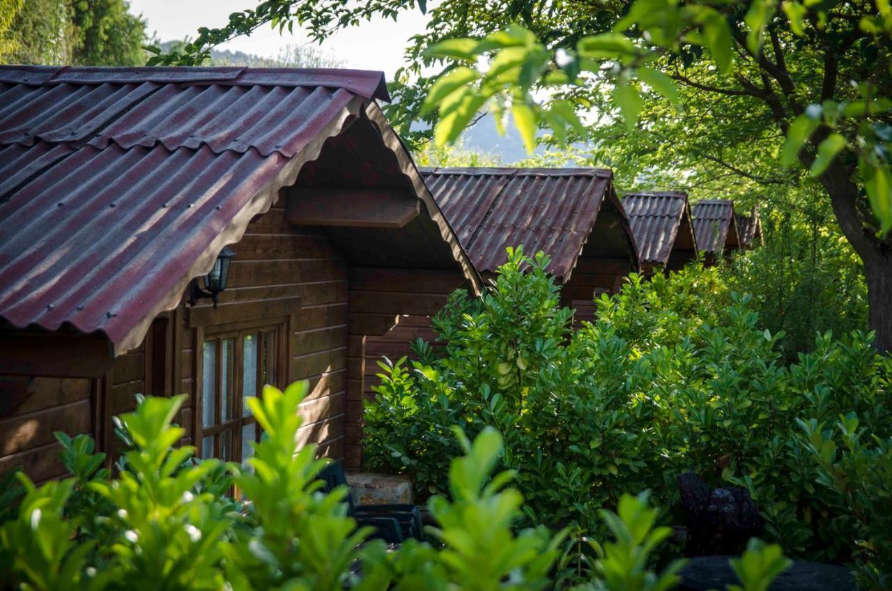 Fuente Del Lobo Glamping & Bungalows - Adults Only Pinos Genil Eksteriør bilde