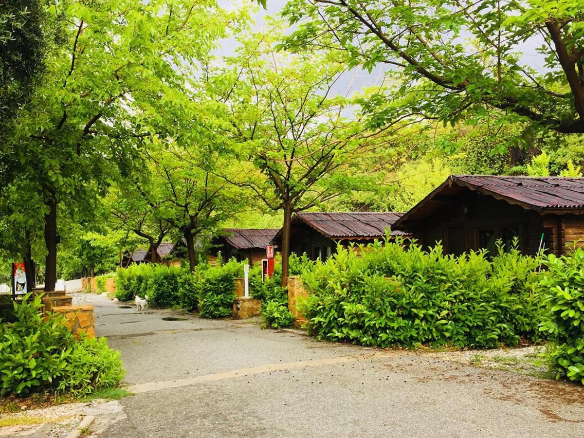 Fuente Del Lobo Glamping & Bungalows - Adults Only Pinos Genil Eksteriør bilde