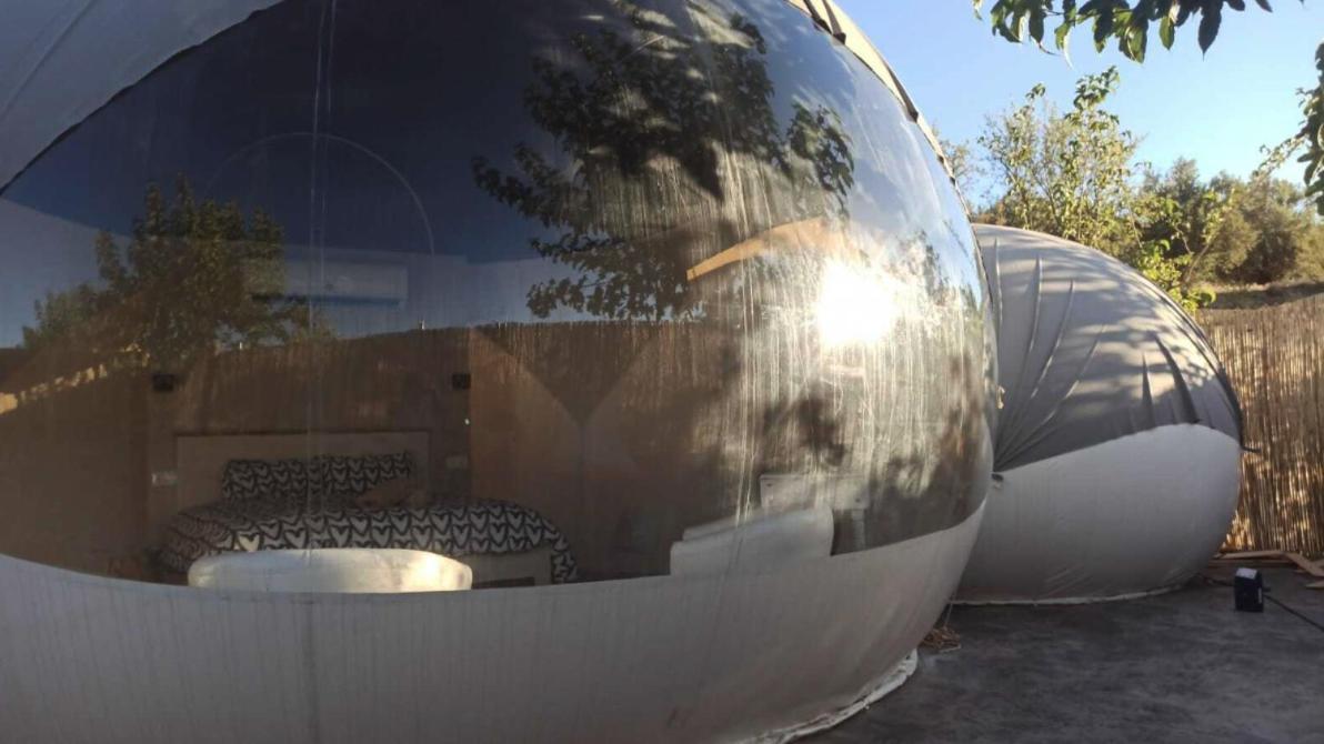 Fuente Del Lobo Glamping & Bungalows - Adults Only Pinos Genil Eksteriør bilde